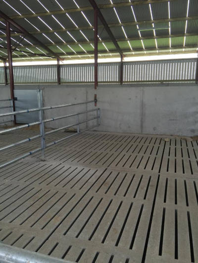 cattle slats 3 cattle slats 3