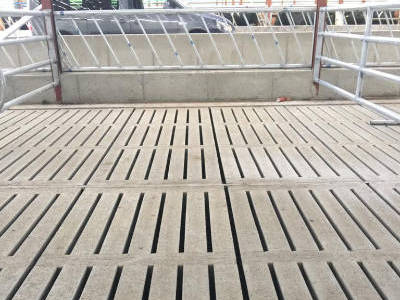 cattle slats1 cattle slats1